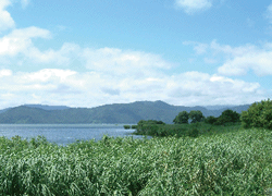 400万年の歴史が育てた琵琶湖の恵み